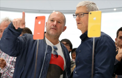 OI的项目已多次延